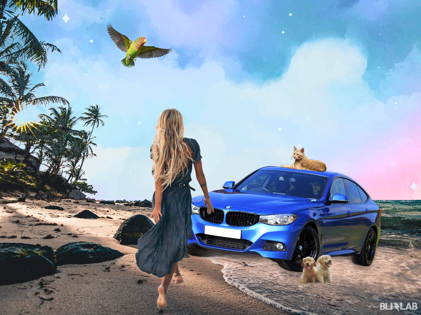 Background removal and brush tools